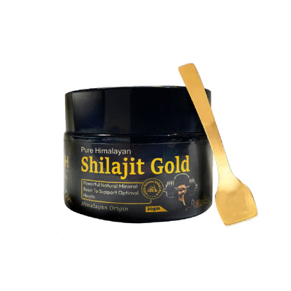 Pure Original Himalayan Shilajit | Pack of 2 | 20 Gram