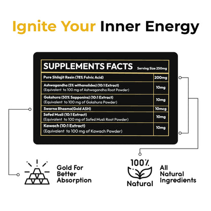 Pure Original Himalayan Shilajit | Pack of 2 | 20 Gram